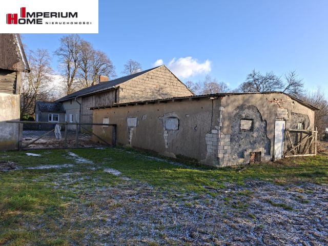 Działka rolna Janiewice. Zdjęcie 4