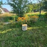 Działka rolno-budowlana Niedary, ul. Spacerowa. Zdjęcie 4