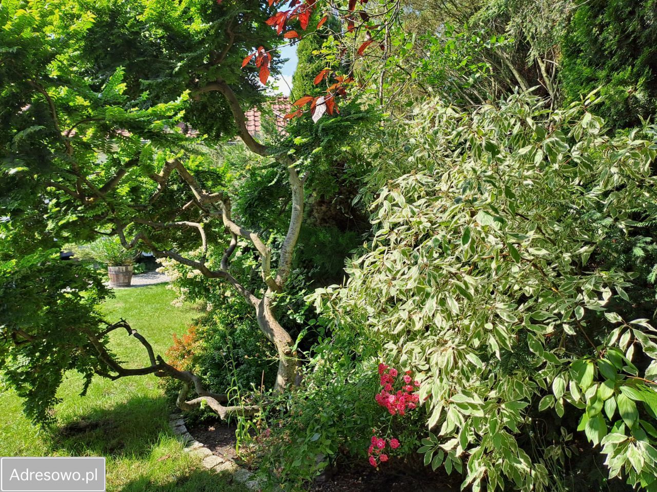 dom wolnostojący, 7 pokoi Poznań Piątkowo, ul. Nad Różanym Potokiem. Zdjęcie 14