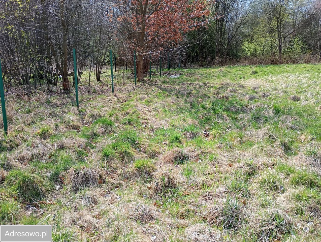 Działka rekreacyjna Żywiec, ul. Rekreacyjna. Zdjęcie 8