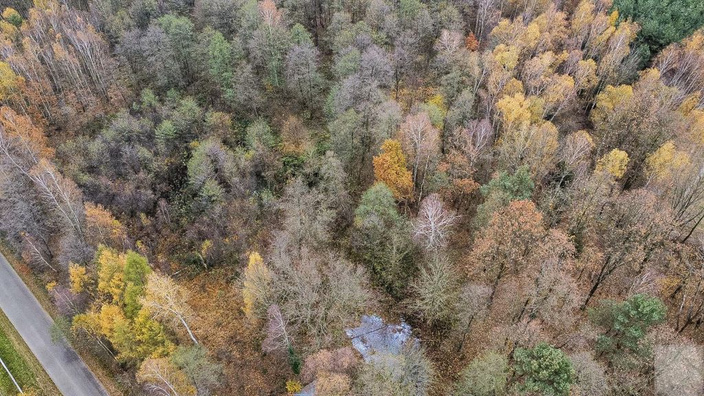 Działka Majdan Sieniawski. Zdjęcie 12