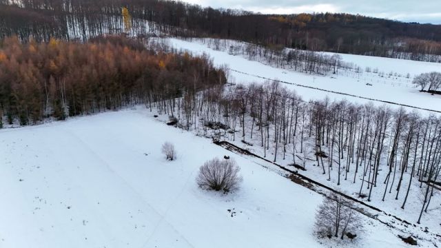 Działka budowlana Besko. Zdjęcie 9