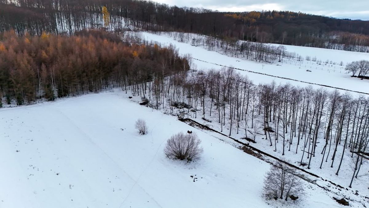 Działka budowlana Besko. Zdjęcie 9