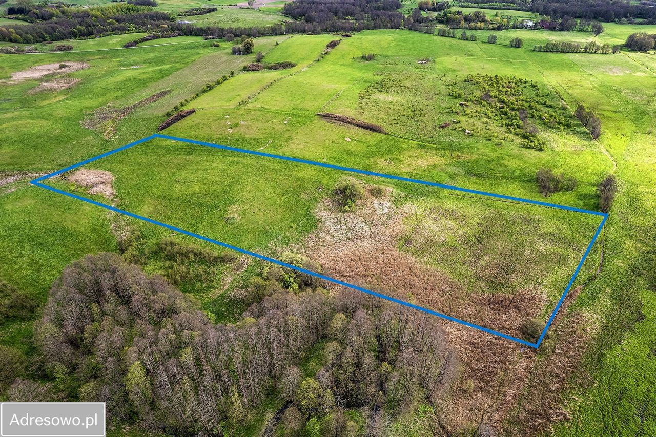 Działka rolno-budowlana Skolity. Zdjęcie 2