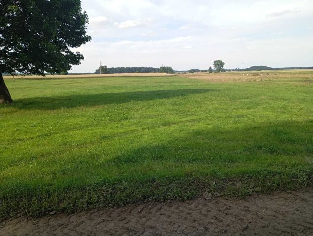 Działka rolna Brzezie. Zdjęcie 1