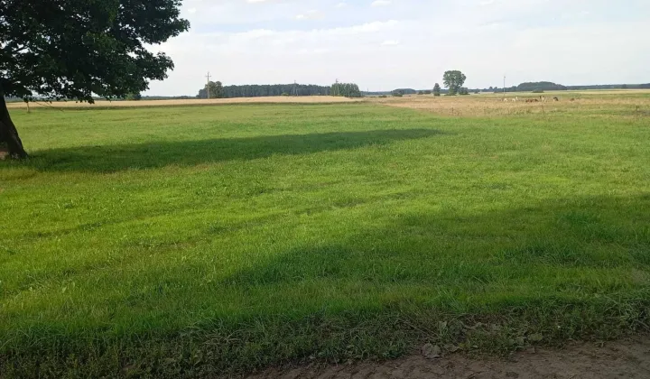 Działka rolna Brzezie