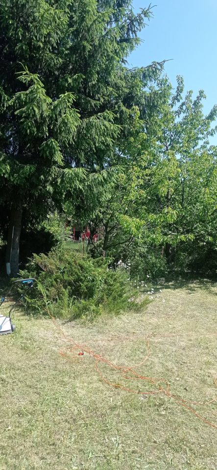 Działka rod Łódź Widzew, ul. Lodowa. Zdjęcie 12