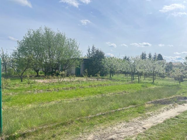 Działka rekreacyjna Międzychód. Zdjęcie 1