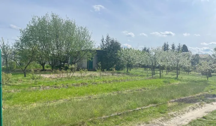 Działka rekreacyjna Międzychód