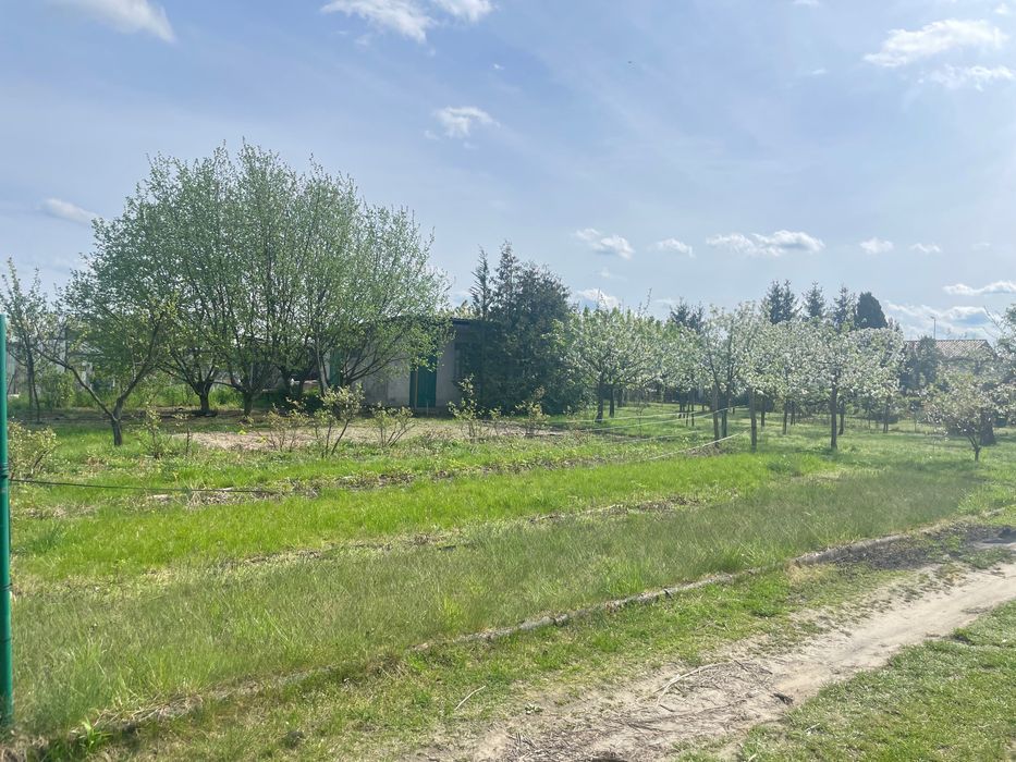 Działka rekreacyjna Międzychód. Zdjęcie 1