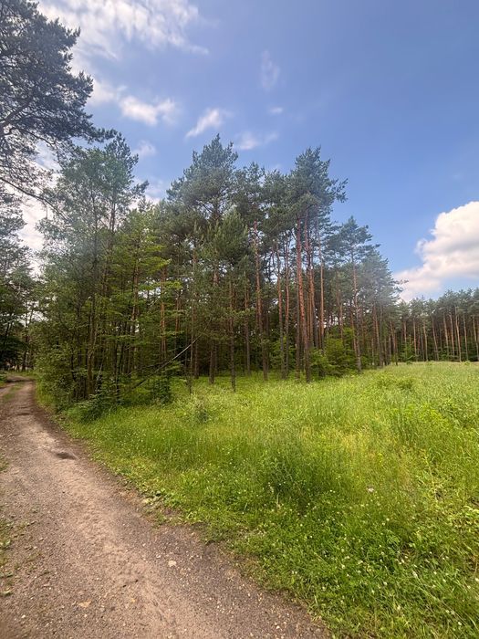 Działka budowlana Ogrodzieniec. Zdjęcie 5
