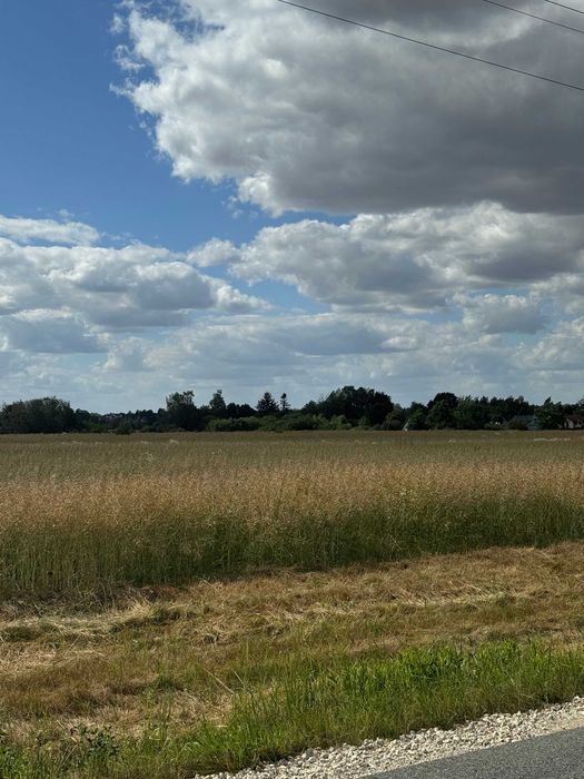 Działka budowlana Paprotnia. Zdjęcie 2