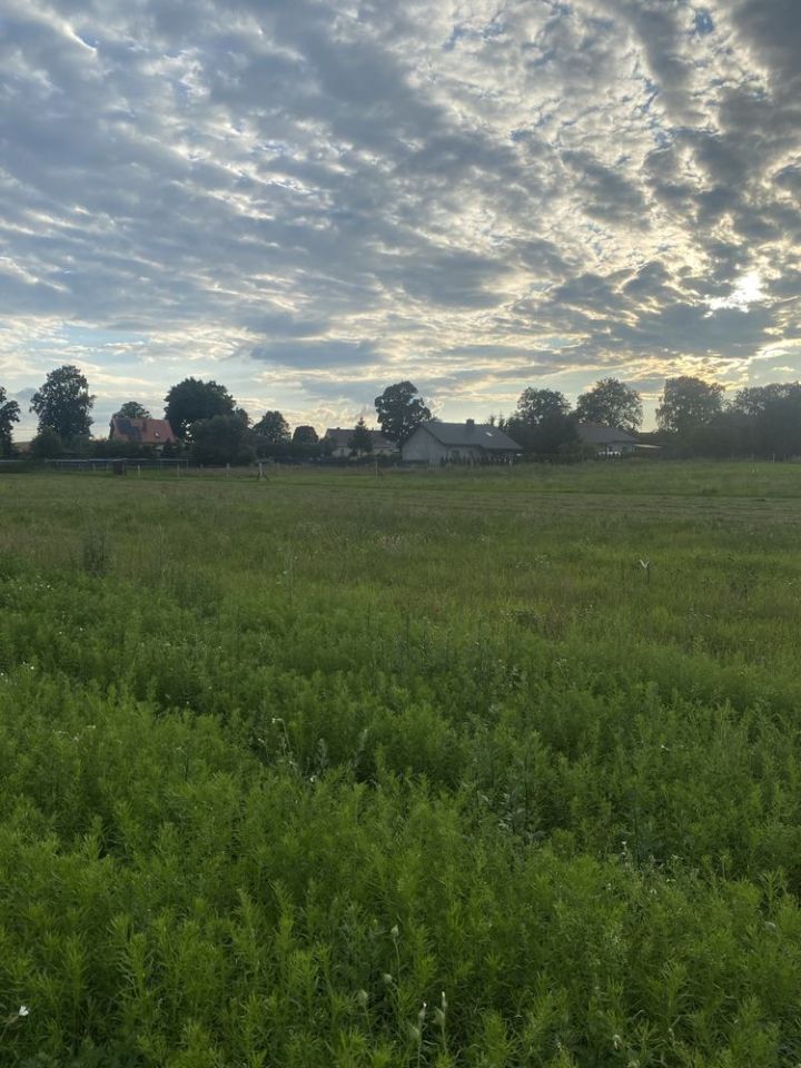 Działka budowlana Orłowo. Zdjęcie 4
