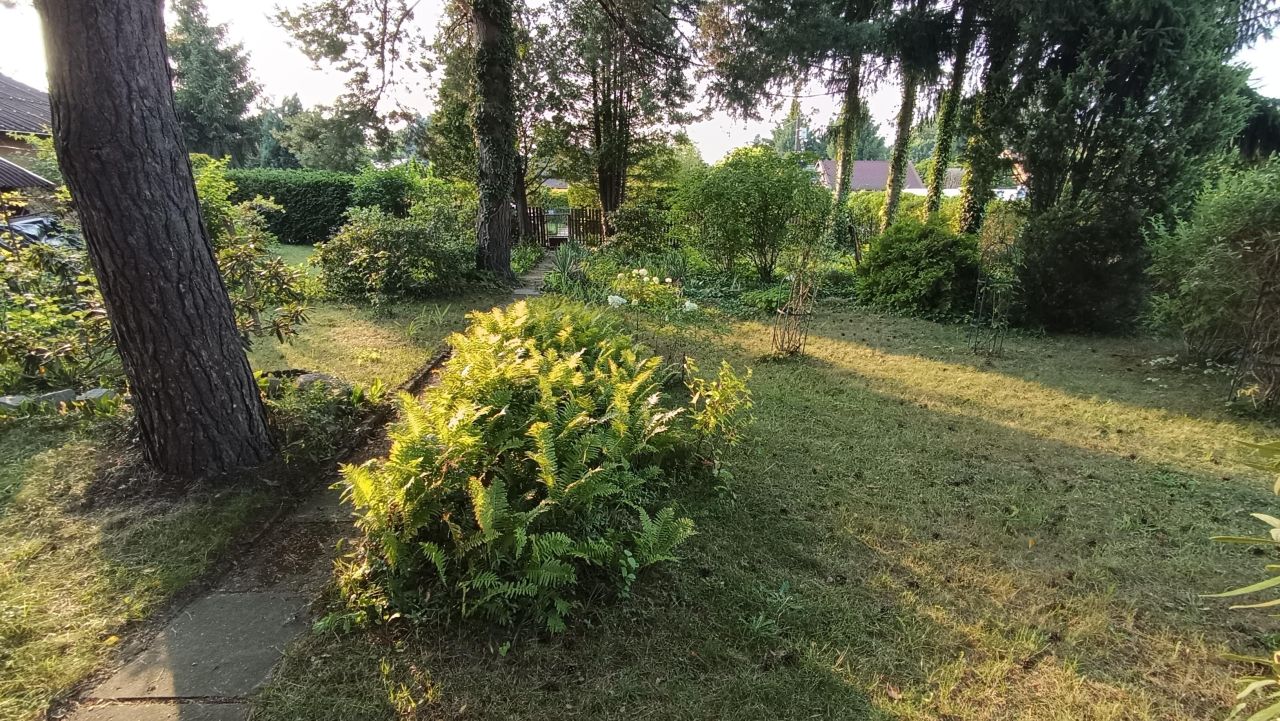 Działka rod Kajetany, ul. Brzozowa. Zdjęcie 5