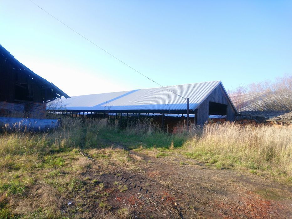 Działka inwestycyjna Bożydar. Zdjęcie 6