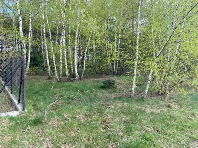 Działka budowlana Długokąty Długokąty Małe. Zdjęcie 1