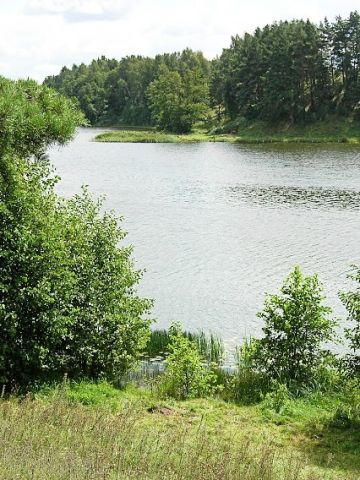 Działka rolna Rabalina. Zdjęcie 5