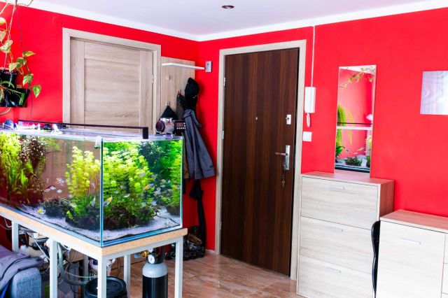 Mieszkanie 2-pokojowe Przemyśl Kazanów, ul. Ignacego Paderewskiego. Zdjęcie 2