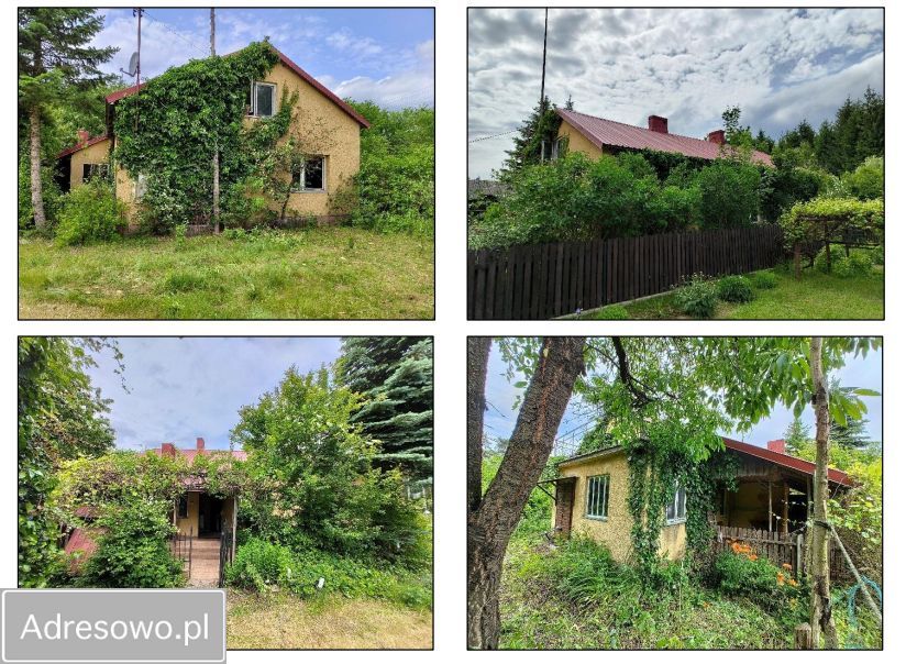 siedlisko, 5 pokoi Wistka Szlachecka. Zdjęcie 10