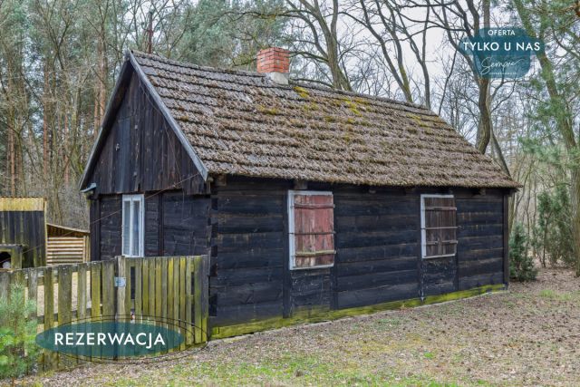 Działka leśna Kije. Zdjęcie 8