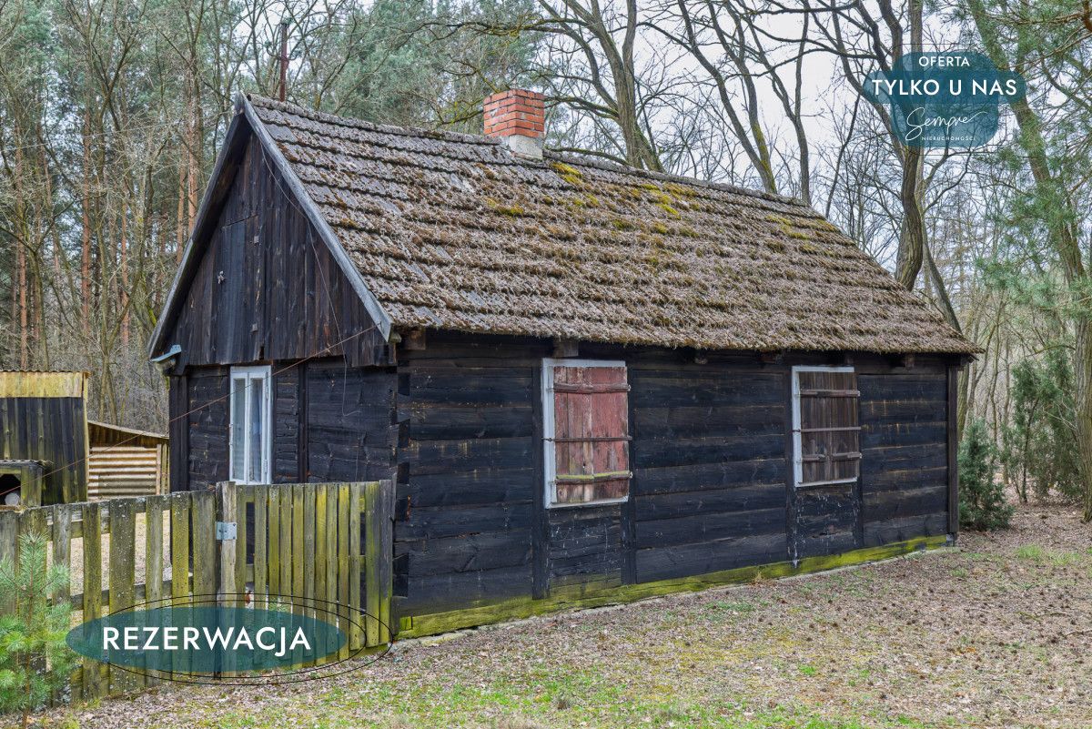 Działka leśna Kije. Zdjęcie 8