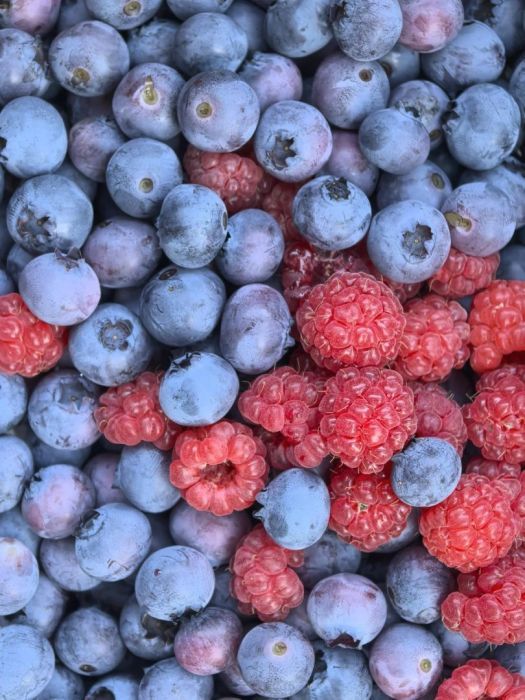 Działka rod Sopot Sopot Górny, ul. Mikołaja Reja. Zdjęcie 8