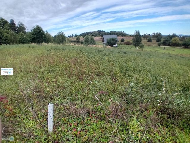 Działka budowlana Morawica. Zdjęcie 1