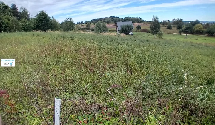 Działka budowlana Morawica