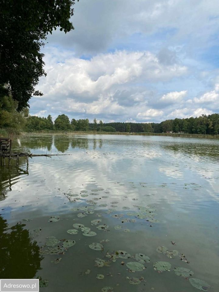 Działka rekreacyjna Kwiejce. Zdjęcie 3