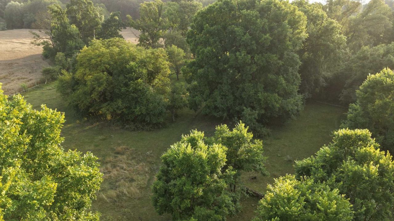 Działka rolno-budowlana Gościnowo. Zdjęcie 3