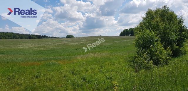 Działka rolna Kraszewo. Zdjęcie 1