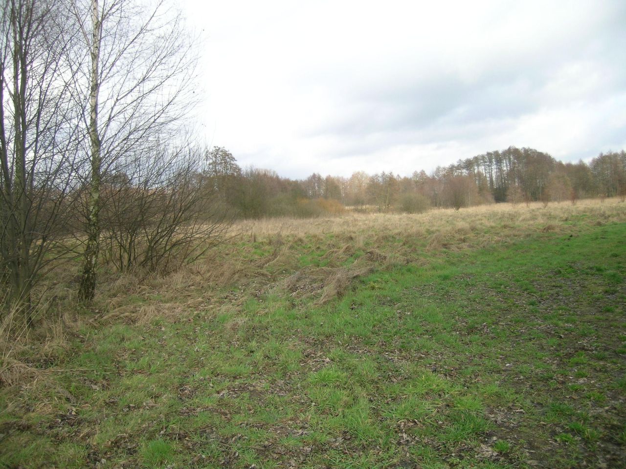 Działka inwestycyjna Strachocin. Zdjęcie 8