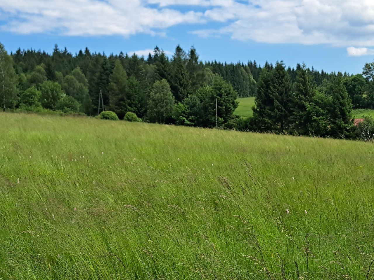 Działka budowlana Bartnica. Zdjęcie 8