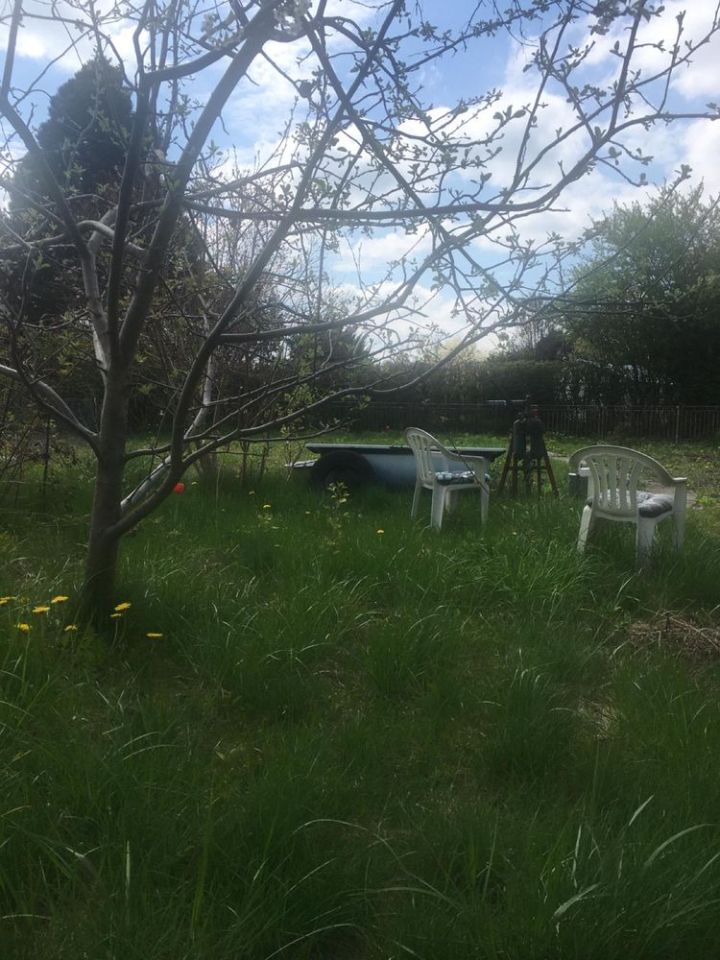 Działka rod Radzyń Podlaski. Zdjęcie 3