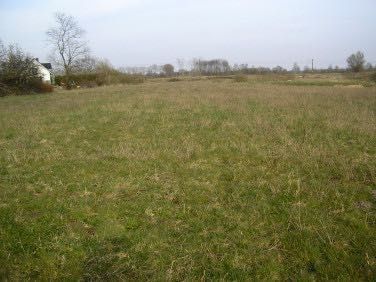 Działka budowlana Jarszewo. Zdjęcie 3