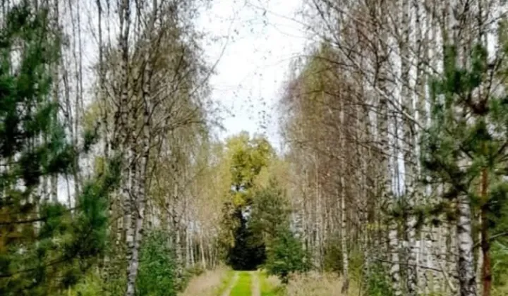 Działka budowlana Kłębowiec