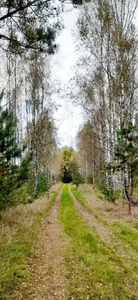 Działka budowlana Kłębowiec