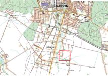 Działka budowlana Jarocin Ciświca, Opłotki. Zdjęcie 2