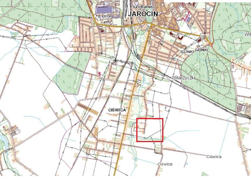 Działka budowlana Jarocin Ciświca, Opłotki. Zdjęcie 3