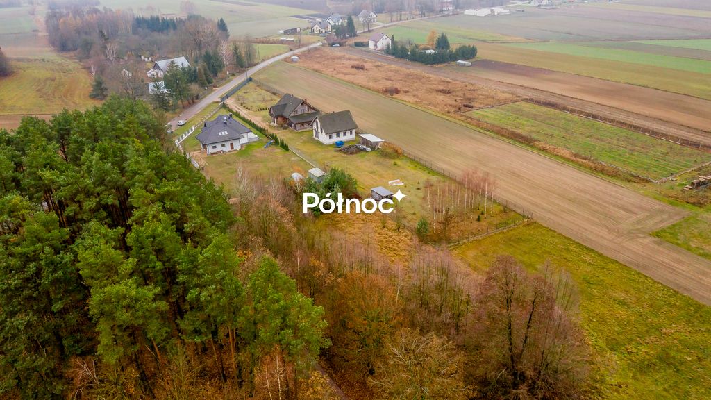 Działka Rumejki. Zdjęcie 5