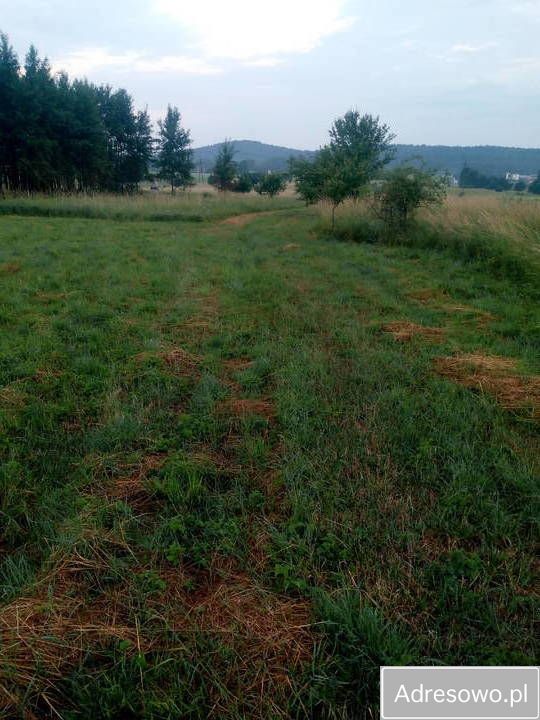 Działka budowlana Bolmin Milechowy. Zdjęcie 3