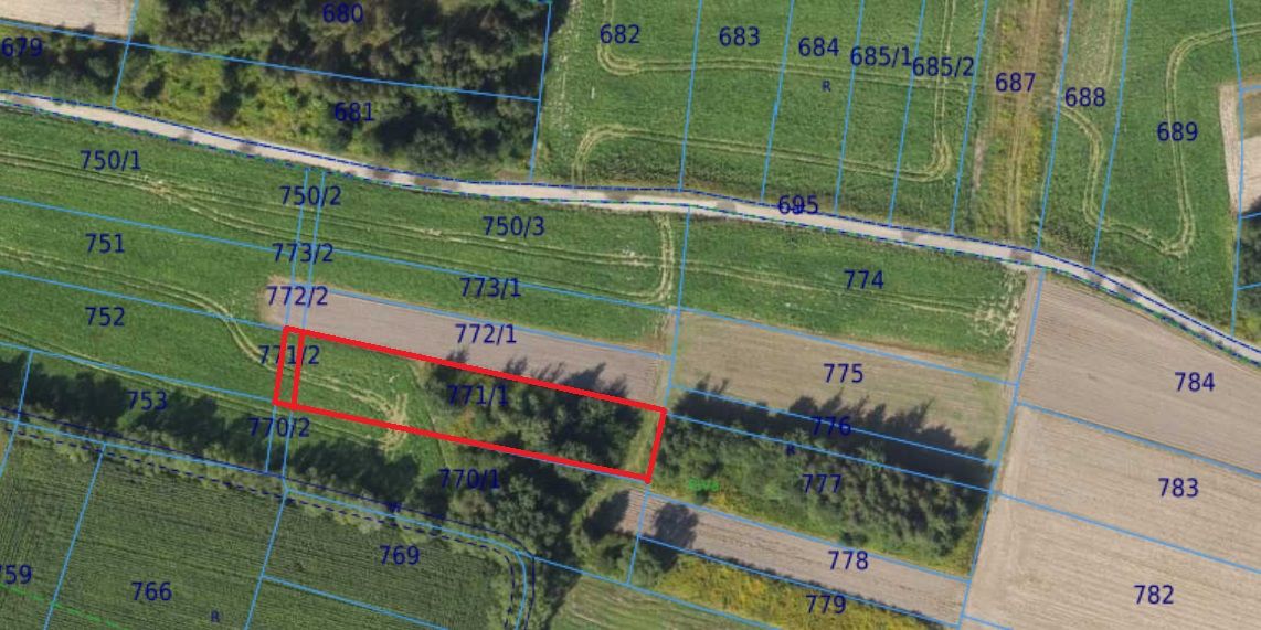 Działka inwestycyjna Cholerzyn Bory Cholerzyńskie. Zdjęcie 2