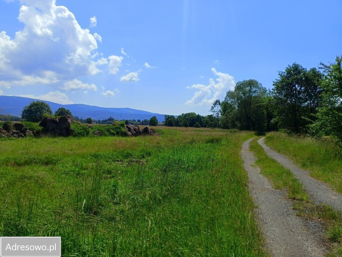 Działka rolna Domaszków, ul. Śnieżna. Zdjęcie 4