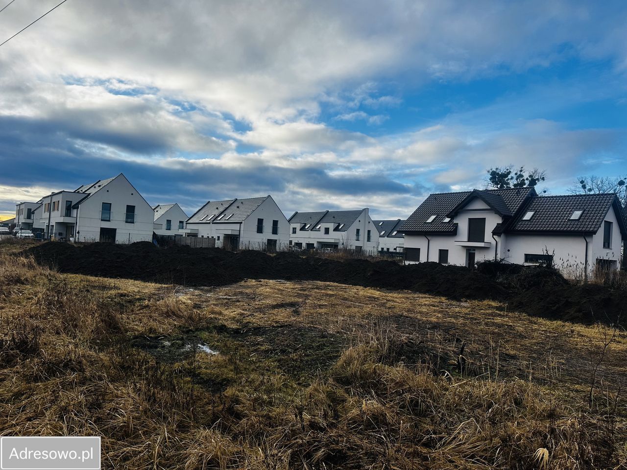 Działka leśna Siechnice. Zdjęcie 7