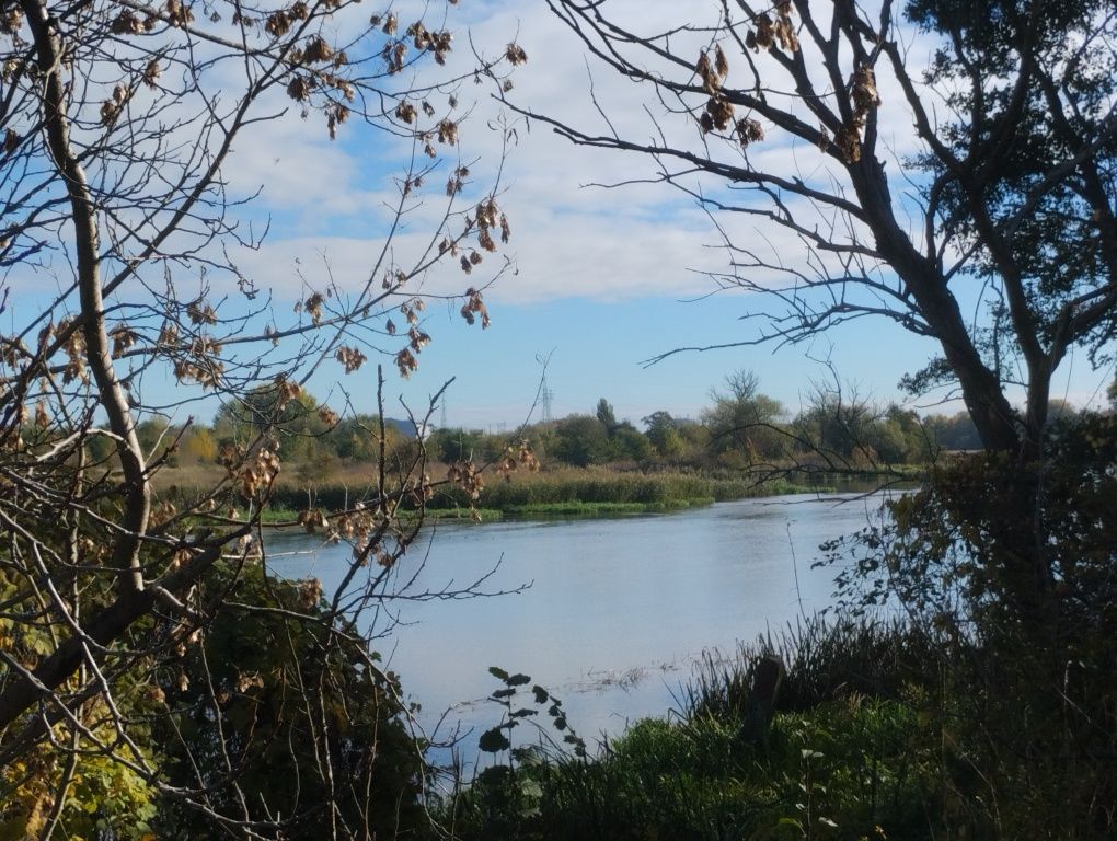 Działka rod Bydgoszcz, ul. Sporna. Zdjęcie 5