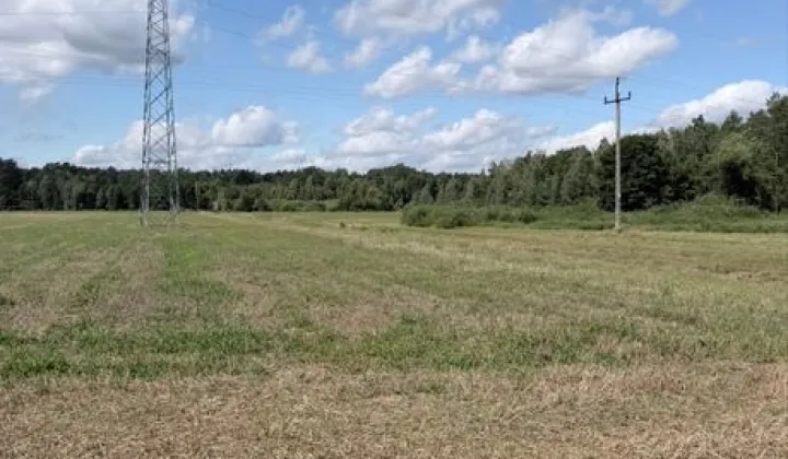 Działka Curyn