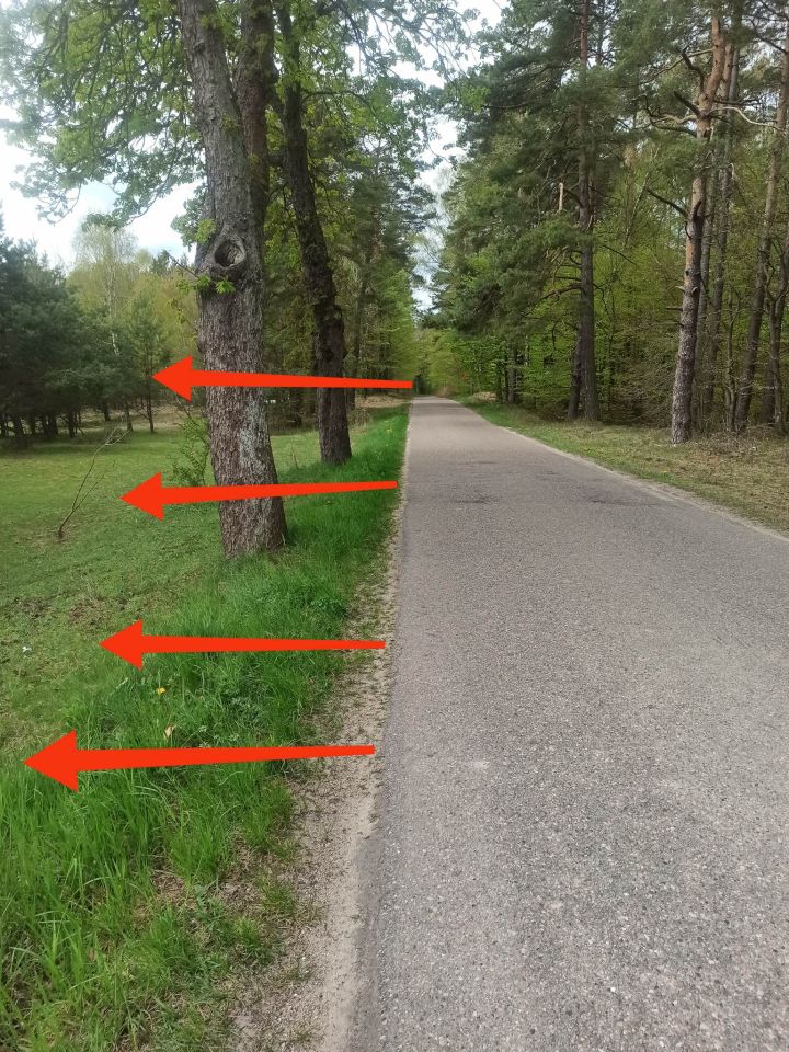 Działka siedliskowa Warniłęg. Zdjęcie 2