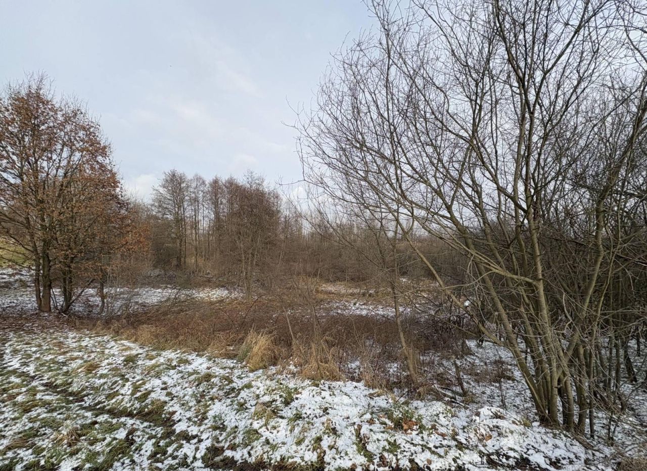 Działka rolna Rzozów. Zdjęcie 6