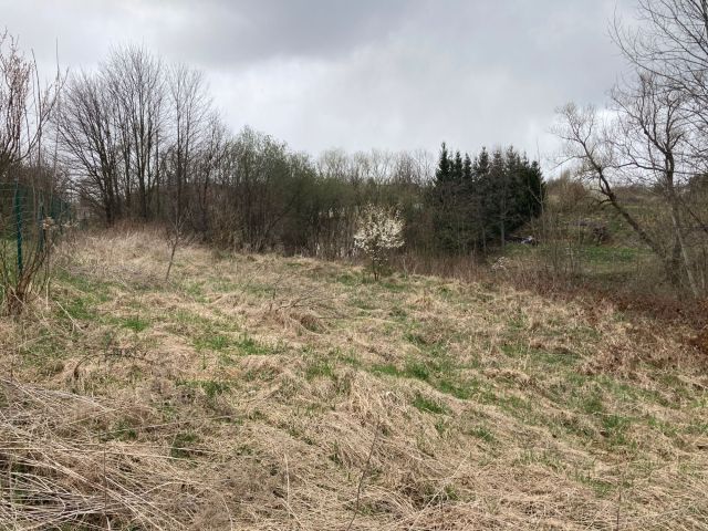 Działka budowlana Modliszów. Zdjęcie 1