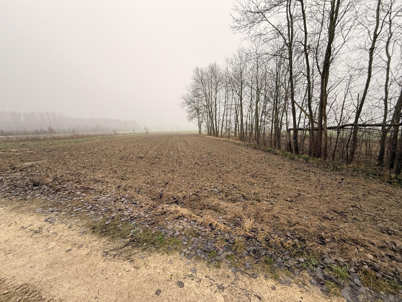 Działka budowlana Gułów. Zdjęcie 5